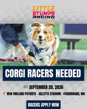 Image post by @littlestumpsracing1 on Facebook