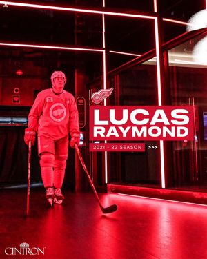 Image post by @detroitredwings on Instagram