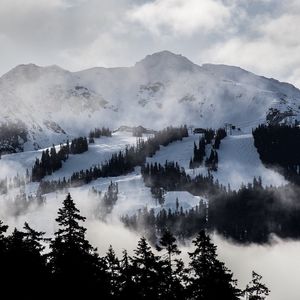 Image post by @whistlerblackcomb on Instagram
