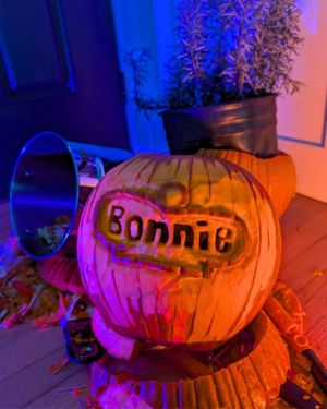 Image post by @bonnieplants on Instagram