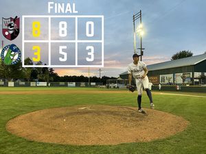 Image post by @picklesbaseball on Instagram
