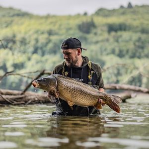 Image post by @brothercarp on Instagram