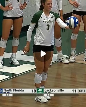 Image post by @ospreysvb on Instagram
