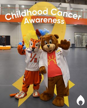Image post by @clemsonmiracle on Instagram