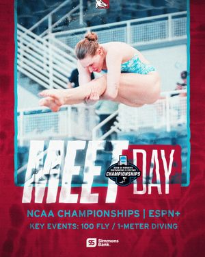 Image post by @razorbackswimdive on Instagram