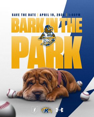 Image post by @kentstbaseball on Instagram