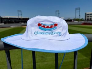 Image post by @thechicagodogs on Instagram