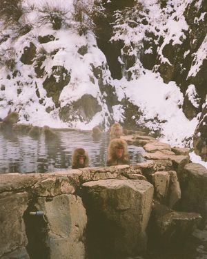 Image post by @ryantempro on Instagram