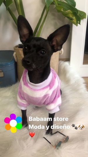 Video post by @babaamstore on Instagram