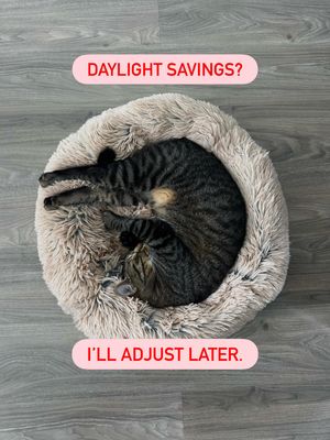 Image post by @petsmart on Instagram