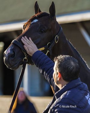 Image post by @fanduel_racing on Instagram