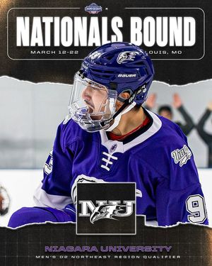 Image post by @hockeyhousepod on Instagram