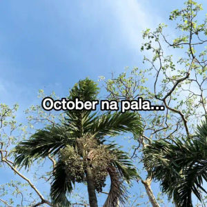 Image post by @abscbnmusic on TikTok