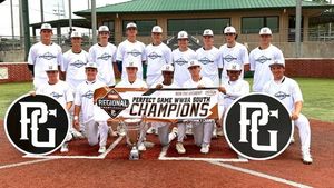 Image post by @twelvebaseball on Instagram
