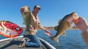 Video post by @lakeforkguy on YouTube