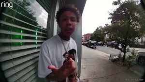 Video post by @Respective Collective on YouTube