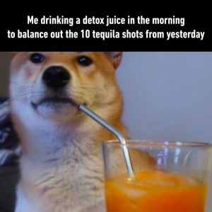 Image post by @9gag on Instagram