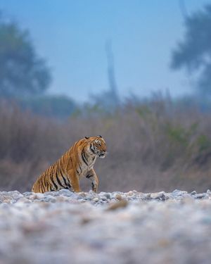 Image post by @discovery on Instagram