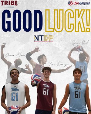Image post by @mytribevolleyball on Instagram