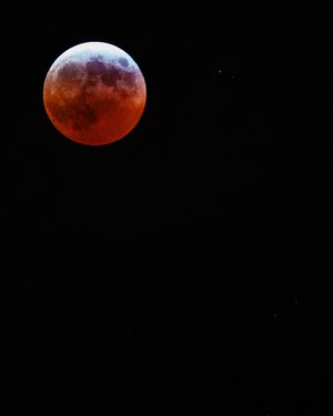 Image post by @uarkansas on Instagram