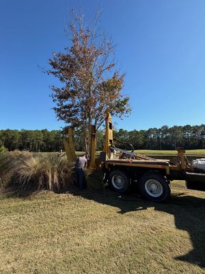 Image post by @st.johnsgolfclub on Instagram