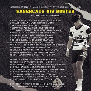 Image post by @houstonsabercats on Instagram