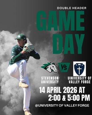 Image post by @stevensonbsb on Instagram