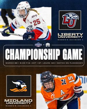 Image post by @hockeyhousepod on Instagram