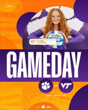Image post by @clemsonvb on Instagram