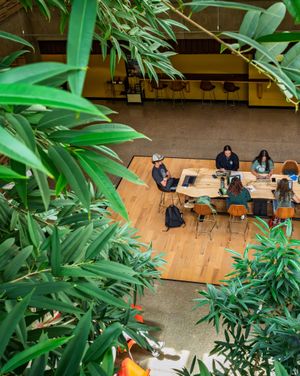 Image post by @coloradostateuniversity on Instagram