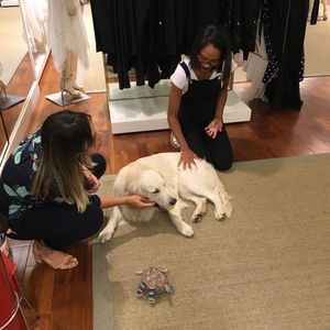 Image post by @mikethewhitegolden on Instagram