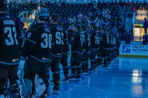 Image post by @sjbarracuda on Twitter