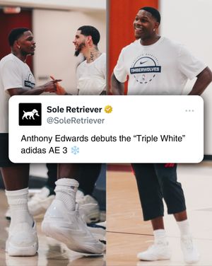 Image post by @soleretriever on Instagram