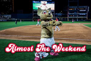Image post by @chico_epchihuahuas on Instagram