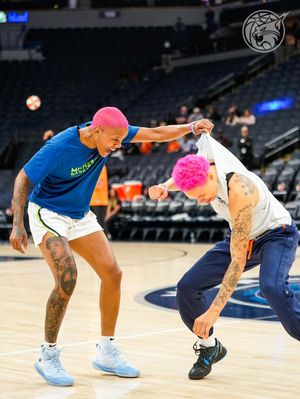 Image post by @minnesotalynx on Instagram