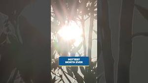 Video post by @kmphfox26 on YouTube