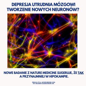 Image post by @neurochirurg_litak on Instagram