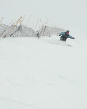 Image post by @newschoolers on Instagram