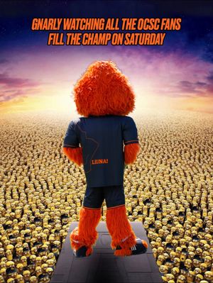 Video post by @orangecountysc on TikTok