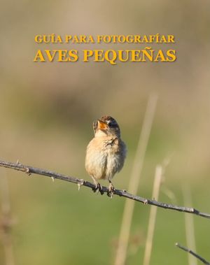 Image post by @fauna.patagonia on Instagram