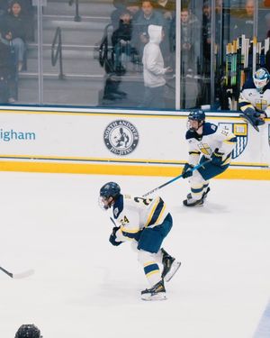 Image post by @merrimack_mih on Instagram