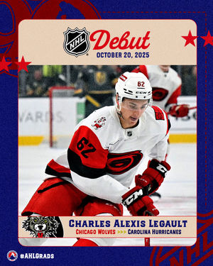 Image post by @theahl on Instagram