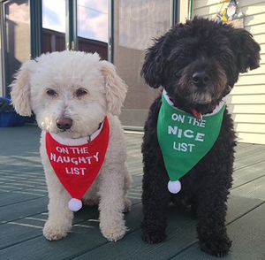 Image post by @livelikeroofoundation on Instagram