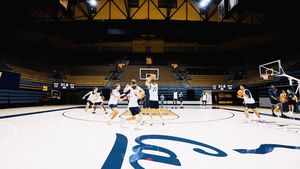 Image post by @calmbball on Instagram