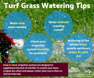Image post by @txextension on Instagram