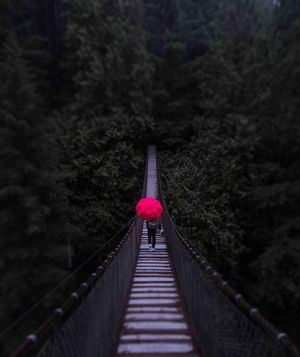 Image post by @bill.yao on Instagram