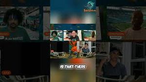 Video post by @dolphinstalk on YouTube