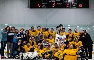 Image post by @tchchockey on Instagram