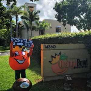 Image post by @orangebowl on Instagram