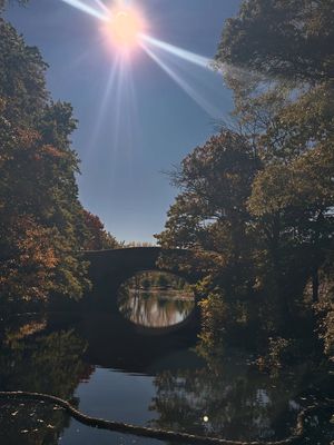 Image post by @gmancusopro7 on Instagram